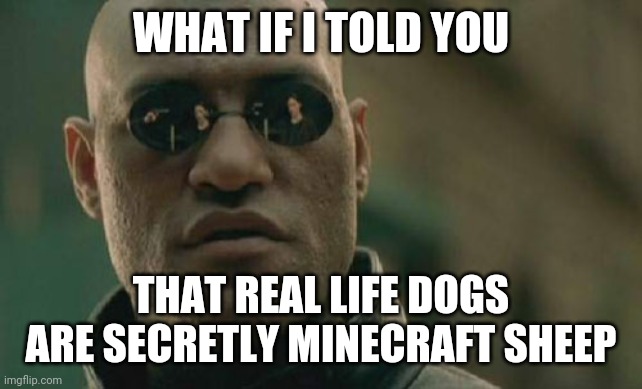 Matrix Morpheus Meme | WHAT IF I TOLD YOU THAT REAL LIFE DOGS ARE SECRETLY MINECRAFT SHEEP | image tagged in memes,matrix morpheus | made w/ Imgflip meme maker