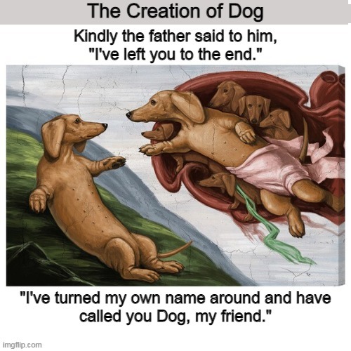 The Creation of Dog | The Creation of Dog | image tagged in creation,dog,dogs,god,funny,memes | made w/ Imgflip meme maker