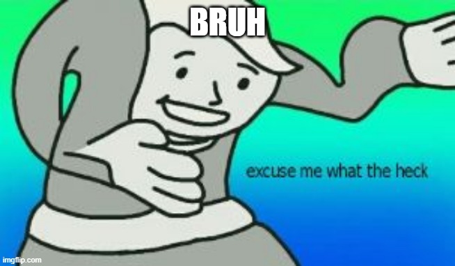 Excuse Me What The Heck | BRUH | image tagged in excuse me what the heck | made w/ Imgflip meme maker