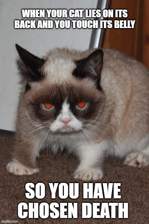 Grumpy Cat red eyes | WHEN YOUR CAT LIES ON ITS BACK AND YOU TOUCH ITS BELLY; SO YOU HAVE CHOSEN DEATH | image tagged in grumpy cat red eyes | made w/ Imgflip meme maker
