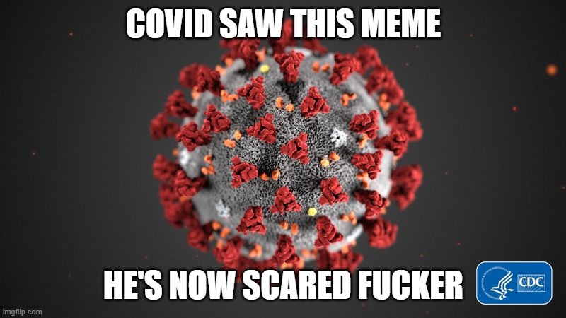 Covid 19 | COVID SAW THIS MEME HE'S NOW SCARED FUCKER | image tagged in covid 19 | made w/ Imgflip meme maker
