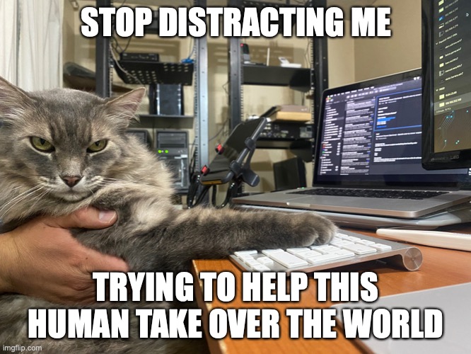 STOP DISTRACTING ME; TRYING TO HELP THIS HUMAN TAKE OVER THE WORLD | made w/ Imgflip meme maker