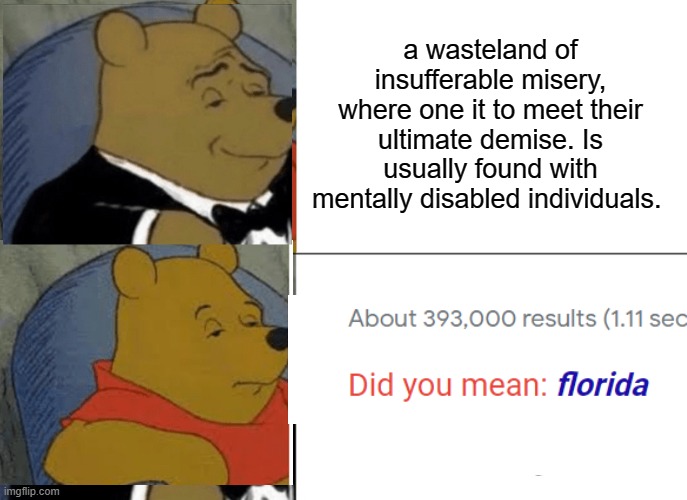 no offense to floridians | a wasteland of insufferable misery, where one it to meet their ultimate demise. Is usually found with mentally disabled individuals. | image tagged in memes,tuxedo winnie the pooh | made w/ Imgflip meme maker