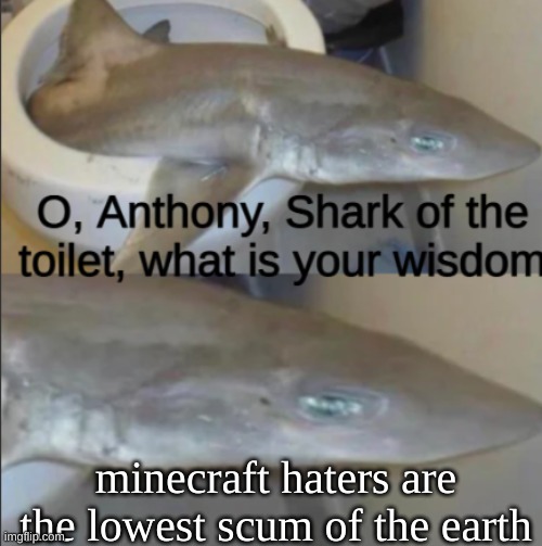 Take his wisdom | minecraft haters are the lowest scum of the earth | image tagged in anthony shark of the toilet | made w/ Imgflip meme maker