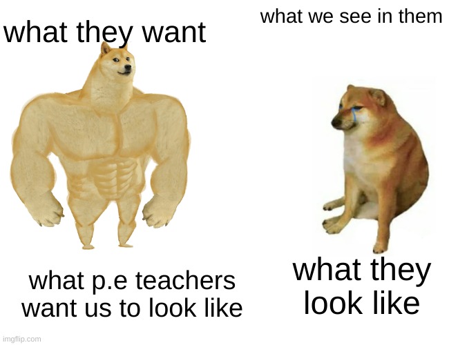 Quite the conundrum! | what they want; what we see in them; what they look like; what p.e teachers want us to look like | image tagged in memes,buff doge vs cheems,funny,fun,the truth | made w/ Imgflip meme maker