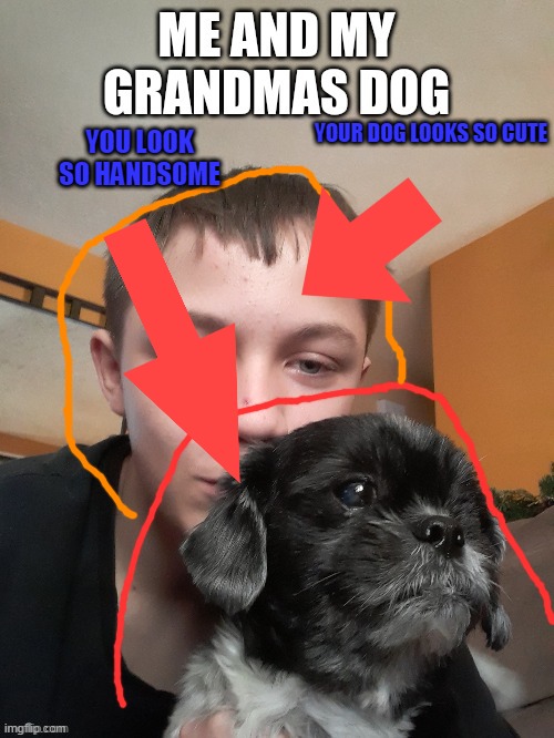 YOUR DOG LOOKS SO CUTE YOU LOOK SO HANDSOME | made w/ Imgflip meme maker