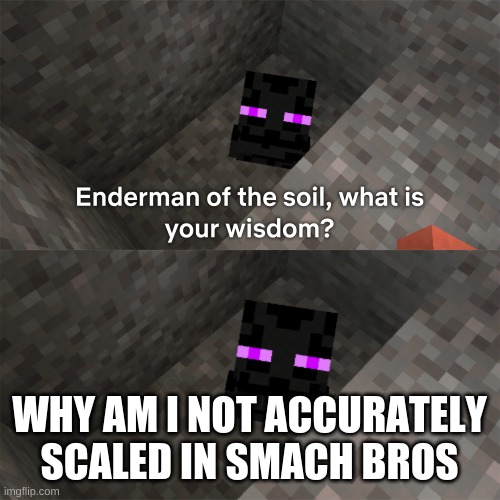 Enderman of the soil | WHY AM I NOT ACCURATELY SCALED IN SMACH BROS | image tagged in enderman of the soil | made w/ Imgflip meme maker