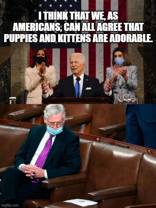 I THINK THAT WE, AS AMERICANS, CAN ALL AGREE THAT PUPPIES AND KITTENS ARE ADORABLE. | made w/ Imgflip meme maker