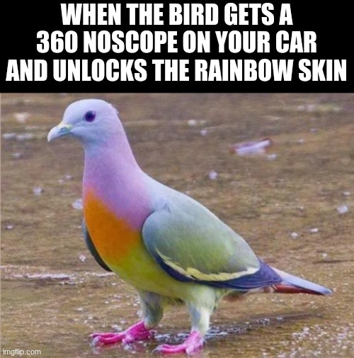WHEN THE BIRD GETS A 360 NOSCOPE ON YOUR CAR AND UNLOCKS THE RAINBOW SKIN | made w/ Imgflip meme maker