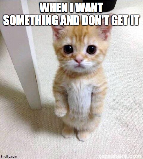 i am spoiled | WHEN I WANT SOMETHING AND DON'T GET IT | image tagged in memes,cute cat,me relate,powers of cutness | made w/ Imgflip meme maker