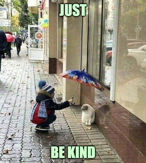Just... |  JUST; BE KIND | image tagged in kindness,be kind,cat,kid,be nice,wholesome | made w/ Imgflip meme maker