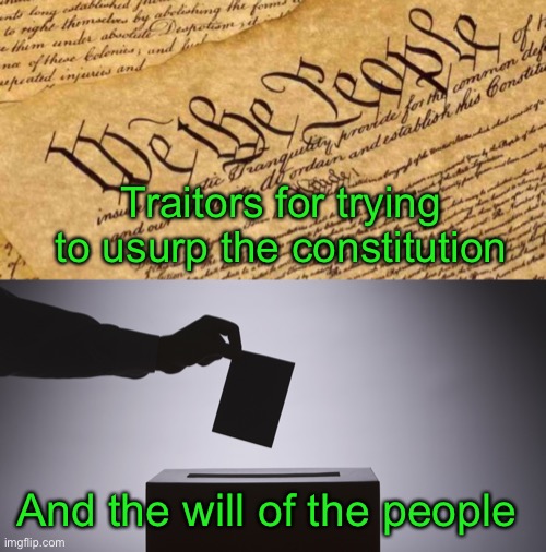 On January 6th, QAnon and Radical Trump Supporting Terrorists showed their true colors.  Never forget. | Traitors for trying to usurp the constitution; And the will of the people | image tagged in constitution,ballot,jan 6th,traitors,qanon | made w/ Imgflip meme maker