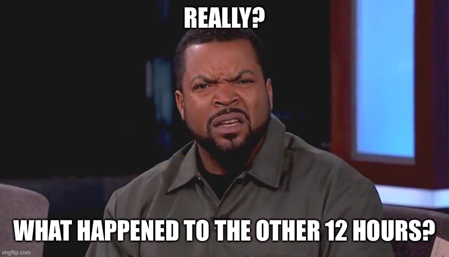 Really? Ice Cube | REALLY? WHAT HAPPENED TO THE OTHER 12 HOURS? | image tagged in really ice cube | made w/ Imgflip meme maker