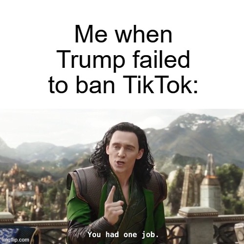 Trump, WTF YOU DIDNT BAN TIKTOK |  Me when Trump failed to ban TikTok: | image tagged in tiktok sucks,you had one job,barney will eat all of your delectable biscuits,why are you reading this | made w/ Imgflip meme maker