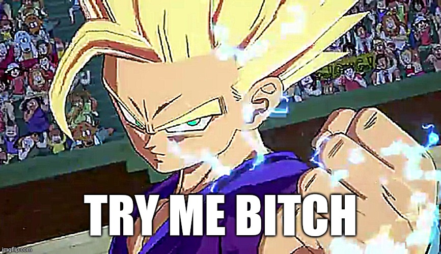 No u | TRY ME BITCH | made w/ Imgflip meme maker