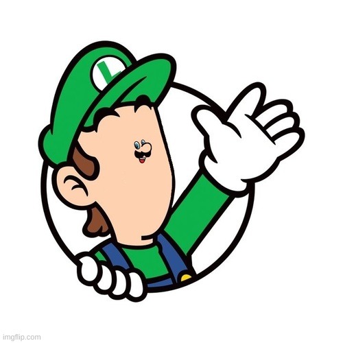Small Face Luigi | image tagged in small face luigi | made w/ Imgflip meme maker