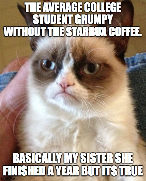 the daily dose of coffee | THE AVERAGE COLLEGE STUDENT GRUMPY WITHOUT THE STARBUX COFFEE. BASICALLY MY SISTER SHE FINISHED A YEAR BUT ITS TRUE | image tagged in memes,grumpy cat,my sister,college students,funny,depressed cat | made w/ Imgflip meme maker