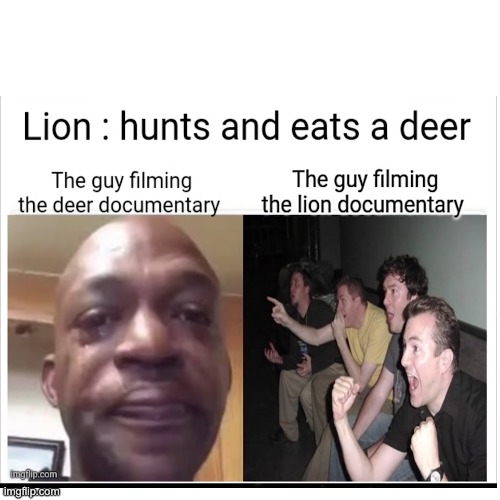 dude filming the lion documentary: yeah!!! go eat the zebra!!! guy filming the zebra documentary: ;-; | image tagged in barney will eat all of your delectable biscuits,memes,dank memes,imgflip,a | made w/ Imgflip meme maker