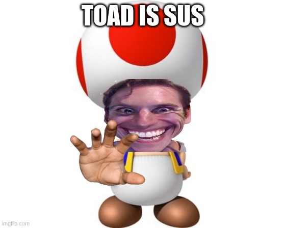 when toad is sus | TOAD IS SUS | image tagged in mario toad,sus | made w/ Imgflip meme maker