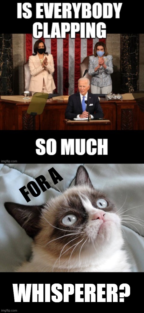 Why...Oh Why... | FOR A; WHISPERER? | image tagged in memes,politics,joe biden,speech,clapping,grumpy cat | made w/ Imgflip meme maker