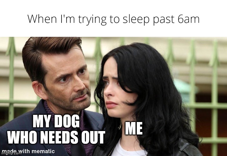 I just want to sleep | MY DOG WHO NEEDS OUT; ME | image tagged in funny,pets | made w/ Imgflip meme maker