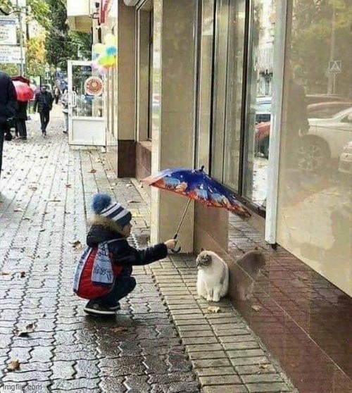 Be kind, like this little one | image tagged in kindness,cats,kid,be kind | made w/ Imgflip meme maker
