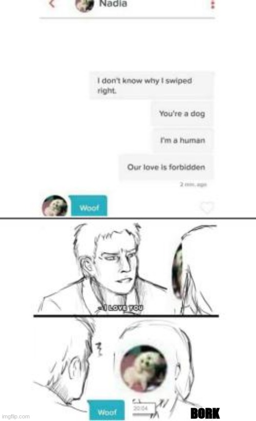 Our love is forbidden | BORK | image tagged in bark,dog,funny,meme,fun | made w/ Imgflip meme maker