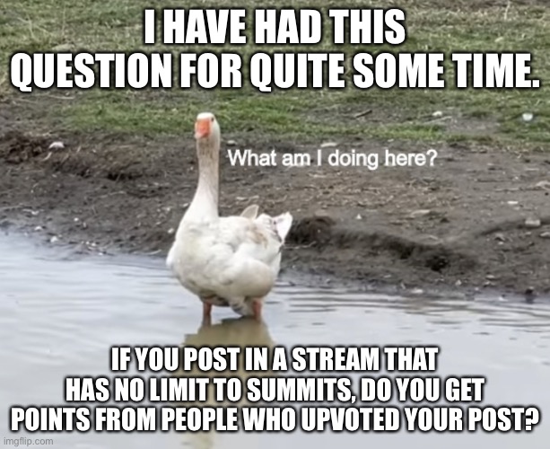 I’m going to guess it’s no | I HAVE HAD THIS QUESTION FOR QUITE SOME TIME. IF YOU POST IN A STREAM THAT HAS NO LIMIT TO SUMMITS, DO YOU GET POINTS FROM PEOPLE WHO UPVOTED YOUR POST? | image tagged in what am i doing here | made w/ Imgflip meme maker