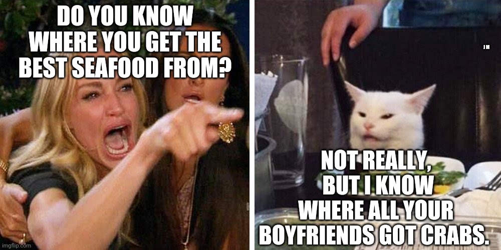 Smudge the cat | DO YOU KNOW WHERE YOU GET THE BEST SEAFOOD FROM? J M; NOT REALLY,  BUT I KNOW WHERE ALL YOUR BOYFRIENDS GOT CRABS. | image tagged in smudge the cat | made w/ Imgflip meme maker