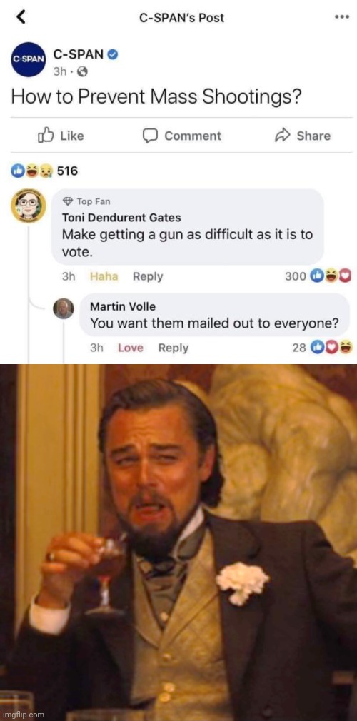 Yes Let's Make It Just As Easy | image tagged in laughing leo,mail,voting,gun rights,second amendment | made w/ Imgflip meme maker