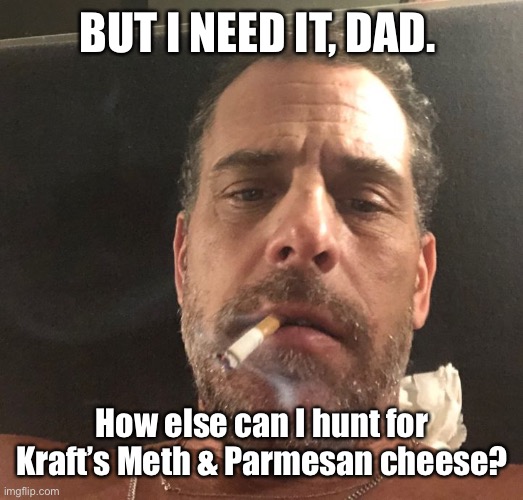 Hunter Biden | BUT I NEED IT, DAD. How else can I hunt for Kraft’s Meth & Parmesan cheese? | image tagged in hunter biden | made w/ Imgflip meme maker