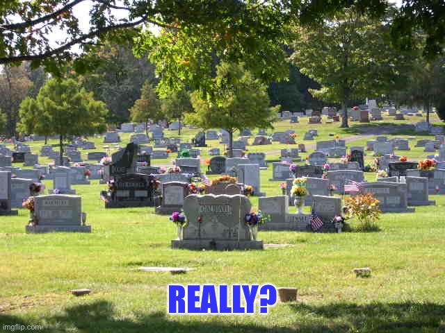 cemetery | REALLY? | image tagged in cemetery | made w/ Imgflip meme maker