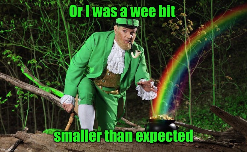 Straight Leprechaun | Or I was a wee bit smaller than expected | image tagged in straight leprechaun | made w/ Imgflip meme maker