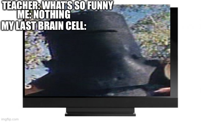 Ned telly | TEACHER: WHAT’S SO FUNNY; ME: NOTHING
MY LAST BRAIN CELL: | image tagged in ned kelly,television | made w/ Imgflip meme maker