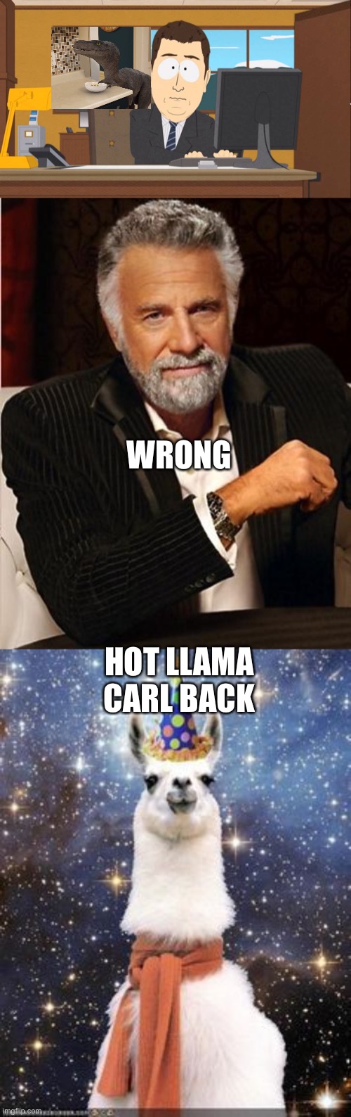WRONG HOT LLAMA CARL BACK | image tagged in aaand its gone,i don't always,happy birthday alpaca | made w/ Imgflip meme maker