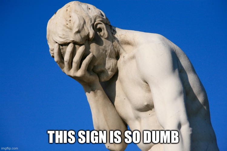 Embarrassed statue  | THIS SIGN IS SO DUMB | image tagged in embarrassed statue | made w/ Imgflip meme maker