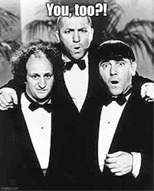The Three Stooges | You, too?! | image tagged in the three stooges | made w/ Imgflip meme maker