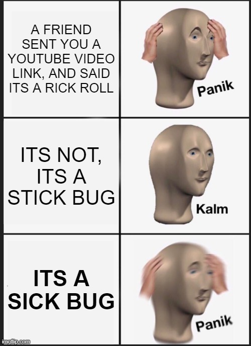 why did i made this | A FRIEND SENT YOU A YOUTUBE VIDEO LINK, AND SAID ITS A RICK ROLL; ITS NOT, ITS A STICK BUG; ITS A SICK BUG | image tagged in memes,panik kalm panik | made w/ Imgflip meme maker