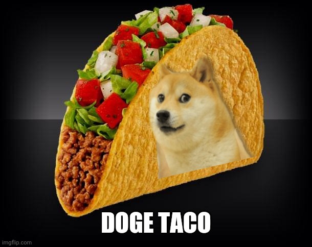 Yes | DOGE TACO | image tagged in taco | made w/ Imgflip meme maker