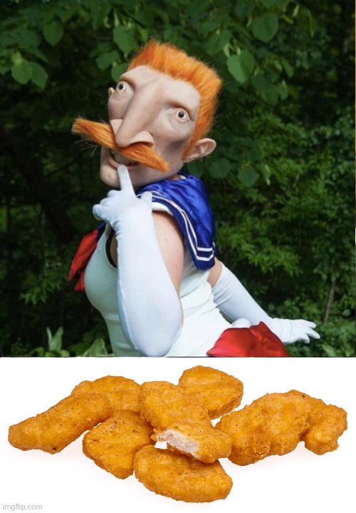 Ummm, futurama and sailor moon? No thanks. | image tagged in memes,chicken nuggets | made w/ Imgflip meme maker
