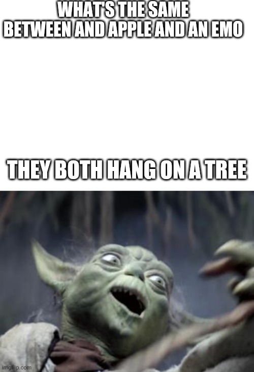 WHAT'S THE SAME BETWEEN AND APPLE AND AN EMO; THEY BOTH HANG ON A TREE | image tagged in blank white template,funny joke yoda | made w/ Imgflip meme maker