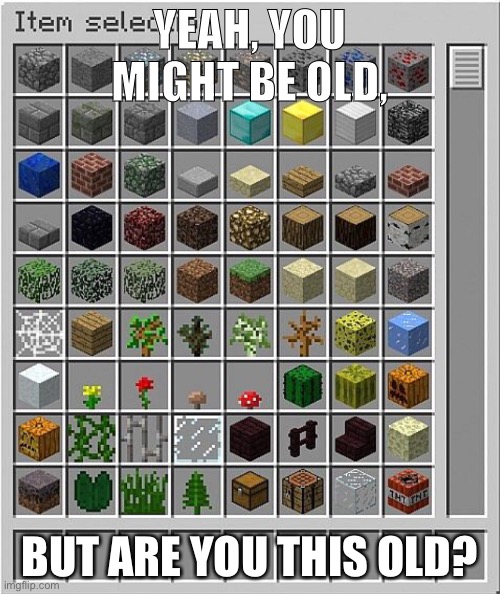 I remember this. | YEAH, YOU MIGHT BE OLD, BUT ARE YOU THIS OLD? | image tagged in minecraft | made w/ Imgflip meme maker