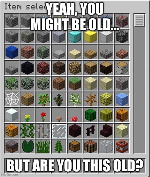 I remember this. | YEAH, YOU MIGHT BE OLD... BUT ARE YOU THIS OLD? | image tagged in minecraft | made w/ Imgflip meme maker