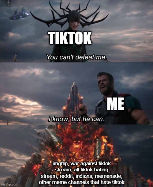 You can't defeat me | TIKTOK ME imgflip, war against tiktok stream, all tiktok hating stream, reddit, indians, memenade, other meme channels that hate tiktok | image tagged in you can't defeat me | made w/ Imgflip meme maker