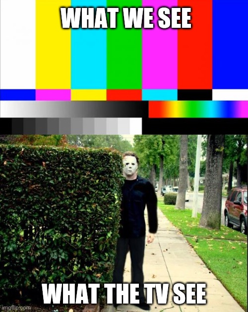 Michael Myers Bush Stalking | WHAT WE SEE; WHAT THE TV SEE | image tagged in michael myers bush stalking,funny | made w/ Imgflip meme maker