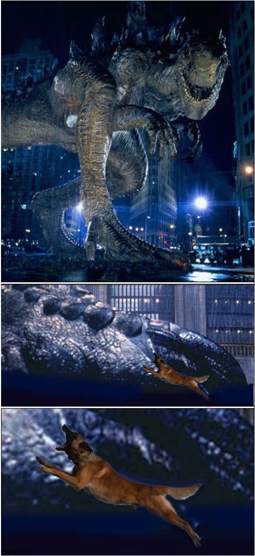 Bob Versus Godzilla ! | image tagged in dog,godzilla | made w/ Imgflip meme maker
