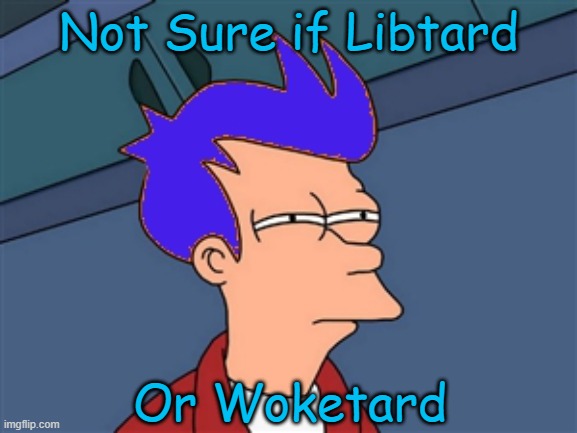 Tards | Not Sure if Libtard; Or Woketard | image tagged in political memes,futurama fry,libtards,woke | made w/ Imgflip meme maker