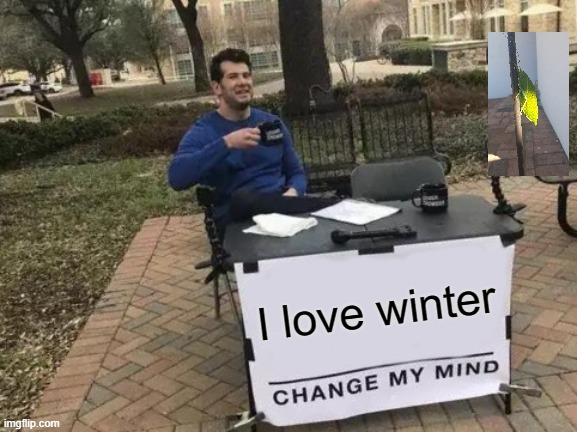 Change My Mind Meme | I love winter | image tagged in memes,change my mind | made w/ Imgflip meme maker