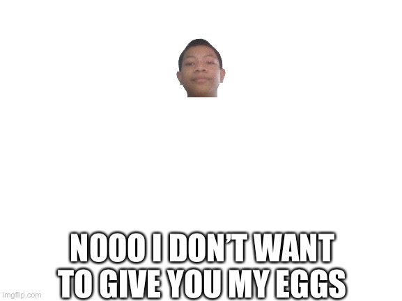 Blank White Template | NOOO I DON’T WANT TO GIVE YOU MY EGGS | image tagged in blank white template | made w/ Imgflip meme maker
