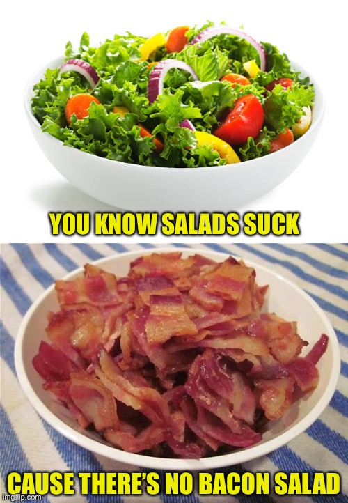 Captain Obvious Says: | YOU KNOW SALADS SUCK; CAUSE THERE’S NO BACON SALAD | image tagged in salad,bacon,thanks captain obvious | made w/ Imgflip meme maker